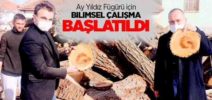 Ay Yıldız'ın çıktı Kaysı ağacından bilimsel inceleme için numune alındı