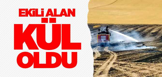 Şefaatli'de ekili alan kül oldu