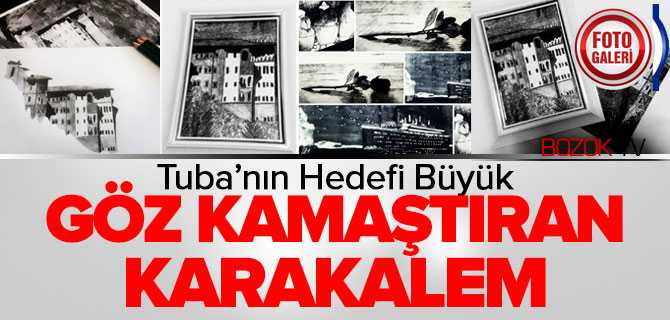 Göz Kamaştıran Karakalem Çalışmaları