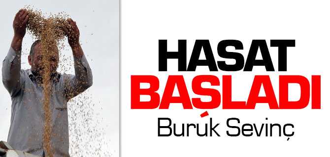 Hububat Hasadı Başladı