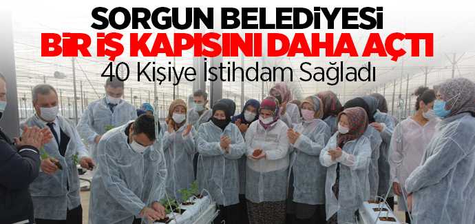 Sorgun Belediyesi Serada 40 kişilik istihdam sağladı