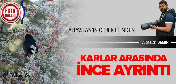 Karlar Arasında İnce Ayrıntı