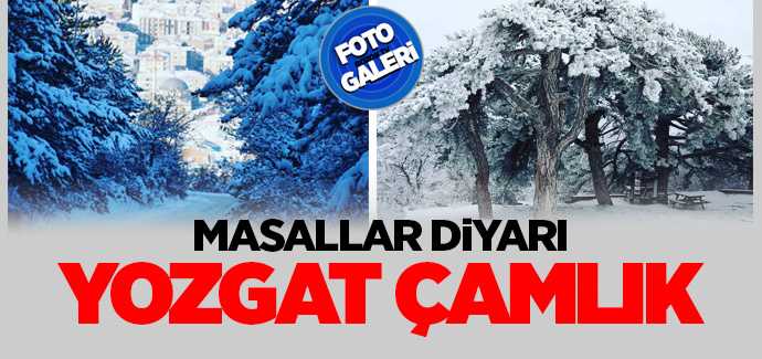 Masallar diyarı Yozgat Çamlık