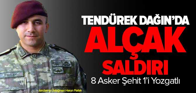 Jandarma Üsteğmen Harun Parlak Şehit Düştü