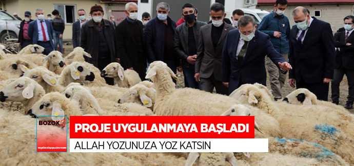 Bozok Yaylasında Yaşamak İçin Bir 'SÜRÜ' Nedenim Var Projesi uygulanmaya başlandı